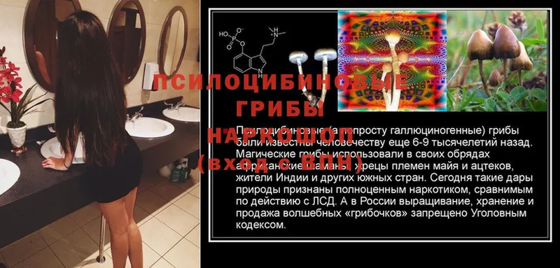 что такое   Реж  Галлюциногенные грибы MAGIC MUSHROOMS 